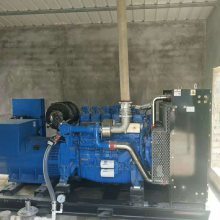 濰柴動(dòng)力150KW千瓦燃?xì)獍l(fā)電機(jī)組 配置WP10D200E300NG發(fā)動(dòng)機(jī)的卓越動(dòng)力解決方案