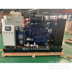 濰柴80千瓦沼氣發(fā)電機 全自動燃氣發(fā)電機組的高效能源解決方案