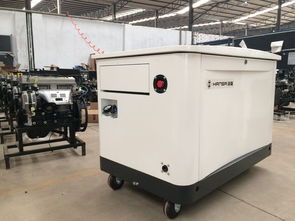 箱式靜音型20kW多燃料發(fā)電機(jī)報(bào)價(jià) 燃?xì)獍l(fā)電機(jī)組全面解析